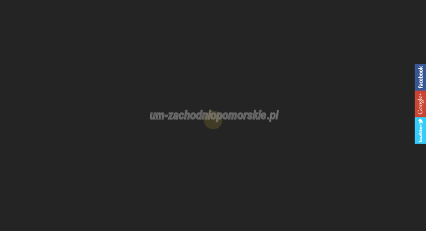 budux-jacek-pustulka