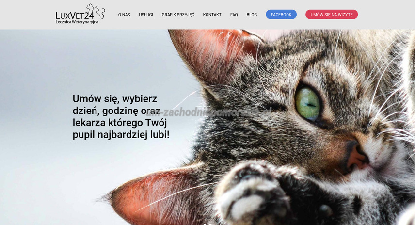 lecznica-weterynaryjna-luxvet24